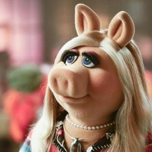 Meet your Posher, Breanna